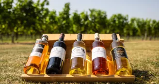 Domaine Imbert Domaine Imbert