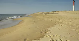Plage du Phare de la Coubre Plage du Phare de la Coubre