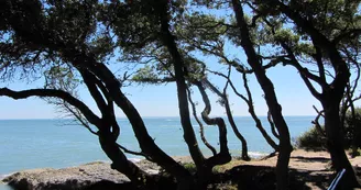 Le Sentier des Douaniers Le Sentier des Douaniers