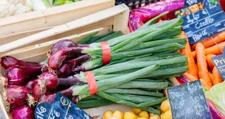 Marché hebdomadaire de Baignes-Sainte-Radegonde