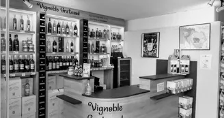 Vignoble Grateaud Vignoble Grateaud