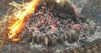 Le Bord à Bord - Cabane de dégustation Le Bord à Bord - Cabane de dégustation