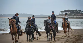 Le Cheval Autrement Le Cheval Autrement