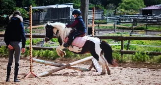 Le Cheval Autrement Le Cheval Autrement