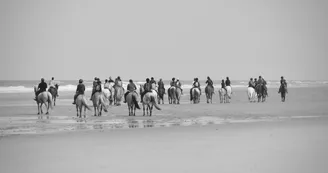 Le Cheval Autrement Le Cheval Autrement