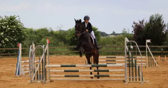 Le Cheval Autrement Le Cheval Autrement