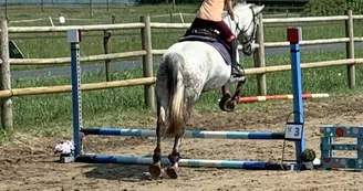 Poney Club Equi Family Poney Club Equi Family