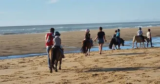 Poney Club Equi Family Poney Club Equi Family