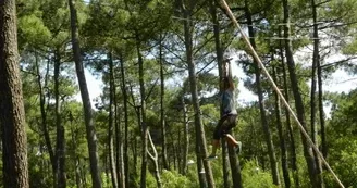 Parc Aventure La Palmyre Parc Aventure La Palmyre