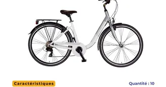 VDS Mobilité - Location de Vélos VDS Mobilité - Location de Vélos