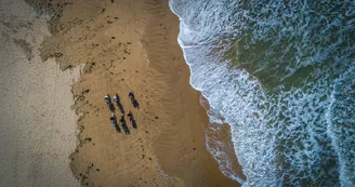 Fat Sand Bikes 17 - La Palmyre Fat Sand Bikes 17 - La Palmyre