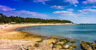 Plage du Platin Plage du Platin