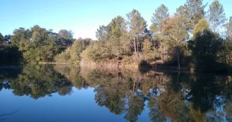 Etang de pêche de Piquedur Etang de pêche de Piquedur