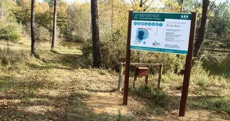 Etang de pêche de Piquedur Etang de pêche de Piquedur