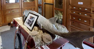 Musée d'Histoire Locale et de la Pêche dans l'Estuaire Musée d'Histoire Locale et de la Pêche dans l'Estuaire