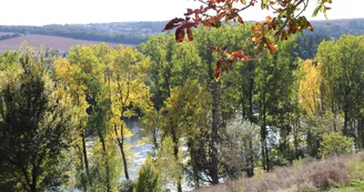 Les Sources de la Touvre Les Sources de la Touvre