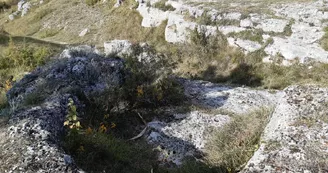 Les Meulières de Claix Les Meulières de Claix
