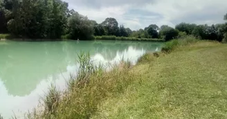 Carpodrome de La Grève Carpodrome de La Grève
