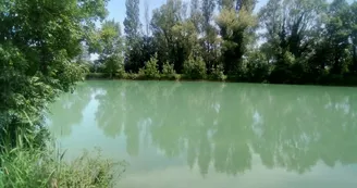 Carpodrome de La Grève Carpodrome de La Grève