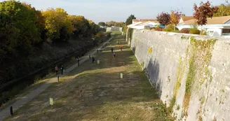 Parcours de santé Parcours de santé