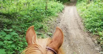 LES DADOUS DE LA BRANDE - TOURISME EQUESTRE LES DADOUS DE LA BRANDE - TOURISME EQUESTRE