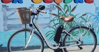 Les Vélos de la Seudre Les Vélos de la Seudre