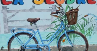 Les Vélos de la Seudre Les Vélos de la Seudre