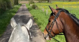 Poney Club de la Côte Poney Club de la Côte