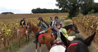 Poney Club de la Côte Poney Club de la Côte