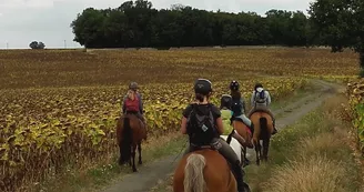 Poney Club de la Côte Poney Club de la Côte