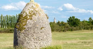 Les Saloches - Nieulle-sur-Seudre Les Saloches - Nieulle-sur-Seudre