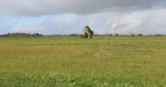 Les Saloches - Nieulle-sur-Seudre Les Saloches - Nieulle-sur-Seudre