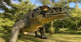 Dinoland - Planet Exotica Dinoland - Planet Exotica