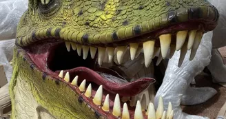 Dinoland - Planet Exotica Dinoland - Planet Exotica
