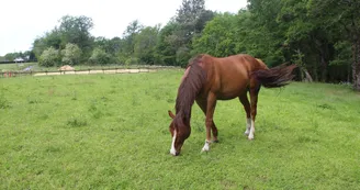 Bella Becca Ranch Bella Becca Ranch