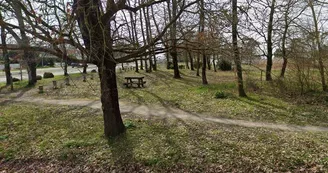 Aire de pique nique - Petit bois de pins Aire de pique nique - Petit bois de pins