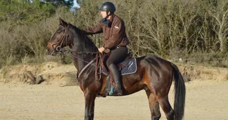 Educ'Horse Educ'Horse