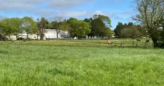 Educ'Horse Educ'Horse