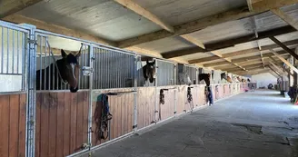 Educ'Horse Educ'Horse