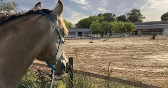 Educ'Horse Educ'Horse