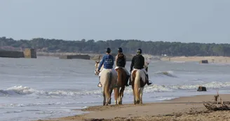 Educ'Horse Educ'Horse