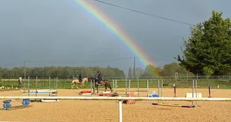 Educ'Horse Educ'Horse