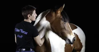 Educ'Horse Educ'Horse