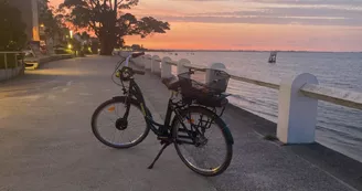 Velo Mimo