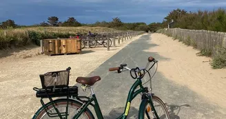 Velo Mimo