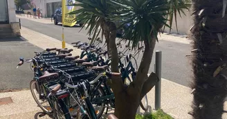 Velo Mimo