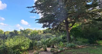 Les jardins de l'âme cham Les jardins de l'âme cham