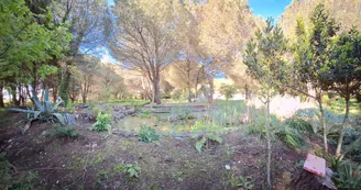 Les jardins de l'âme cham Les jardins de l'âme cham