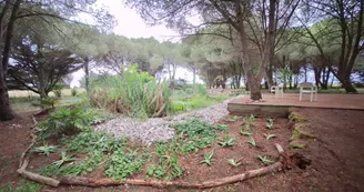 Les jardins de l'âme cham Les jardins de l'âme cham