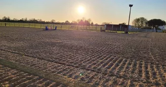 Haras de l'Ilatte Haras de l'Ilatte